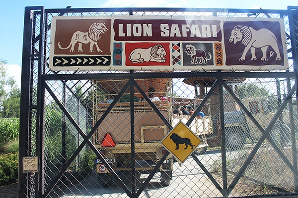 safari dvůr králové vjezd ke lvům