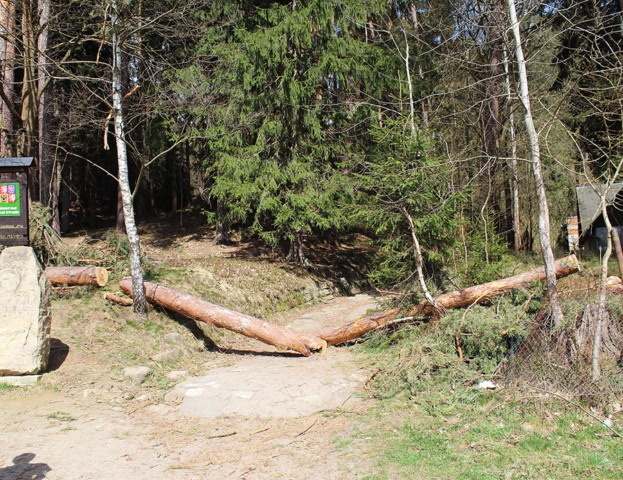 Fotografie spadlého kmene stromu vstup na vyhlídku
