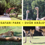 Safari park - dvůr králové